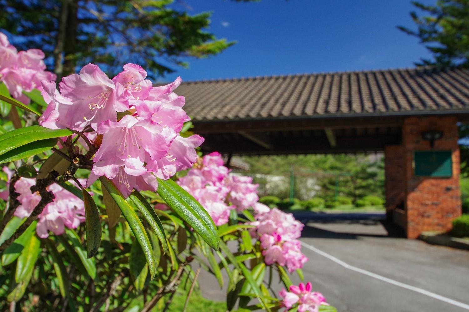 Tsumagoi Prince Hotel Eksteriør billede
